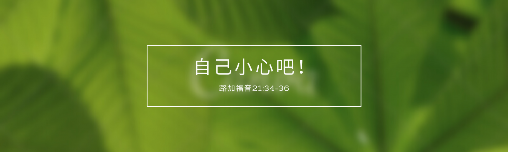 Green Leaves Blurred Photo YouTube Channel Art (2)